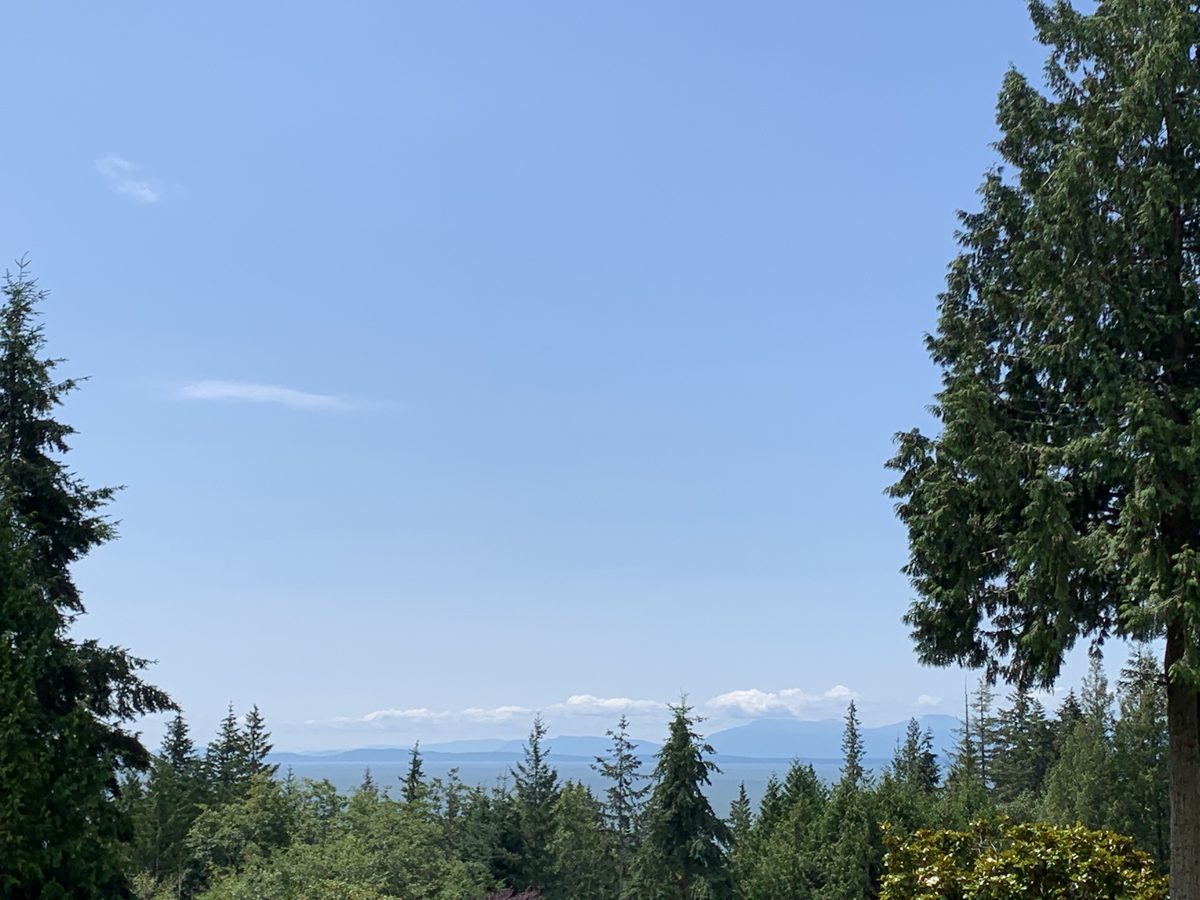 Ocean and mountain view through the trees