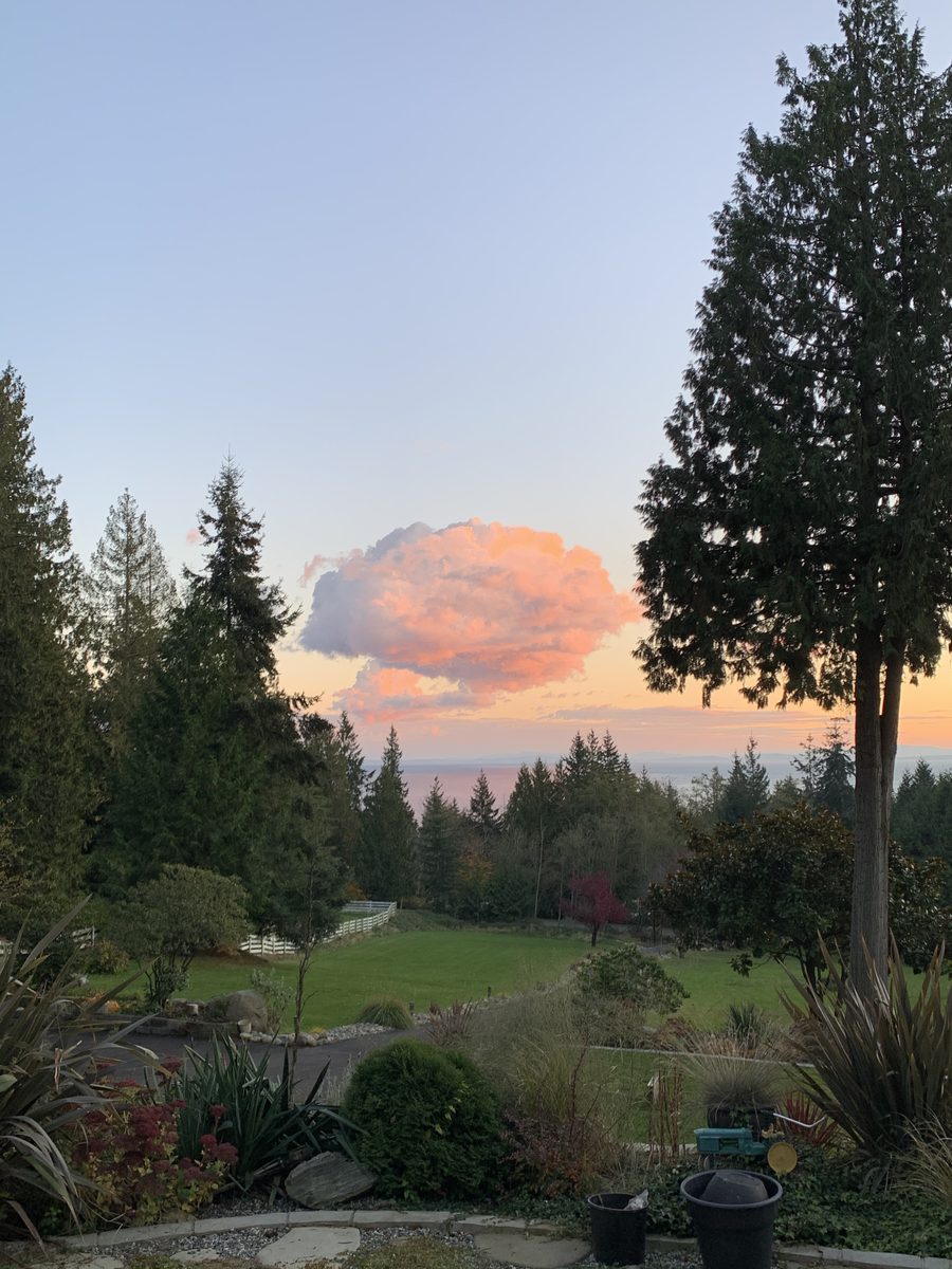 Sunset view from the property